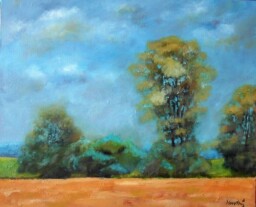 V poli  50x60